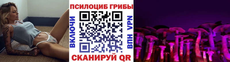 где можно купить наркотик  гидра ССЫЛКА  Псилоцибиновые грибы мицелий  Энгельс 