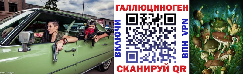 Галлюциногенные грибы Psilocybine cubensis Энгельс