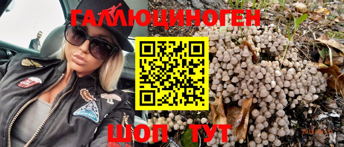 Галлюциногенные грибы Magic Shrooms Энгельс
